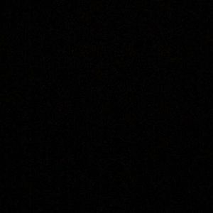 Meet your Posher, Daline